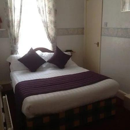Hotel Oyo Binglea Hotel