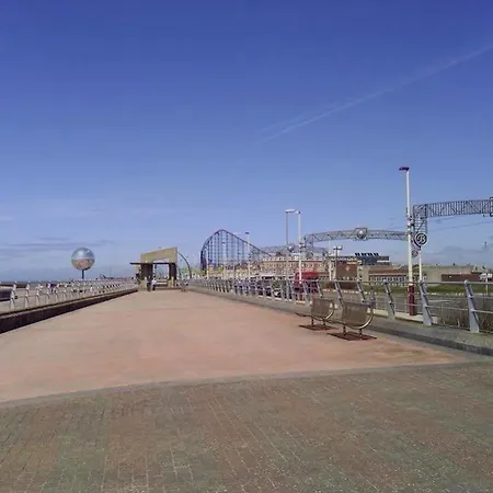 Zebra Blackpool