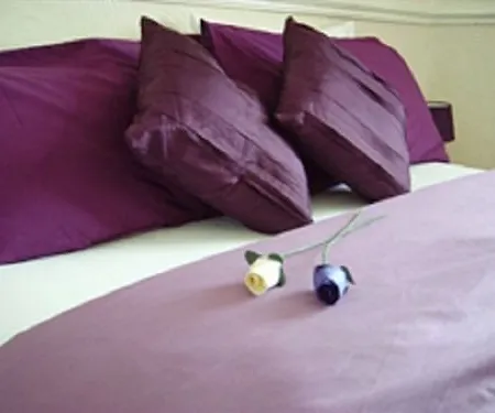 Bed & Breakfast Earlsway 2*