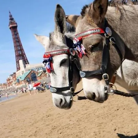 The Savoy (adults Only) 3* Blackpool