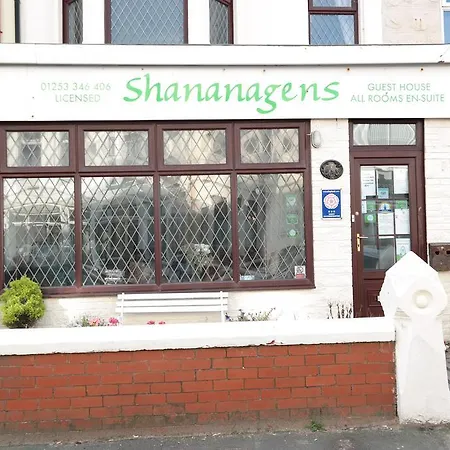 Shananagens 3*